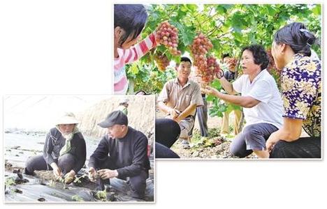 青春大学论文网络配图1