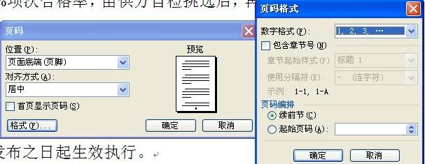 word2003论文插入页码网络配图3
