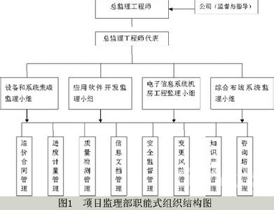 it项目成本管理论文网络配图2