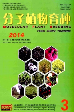 分子植物育种杂志