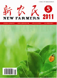 新农民杂志