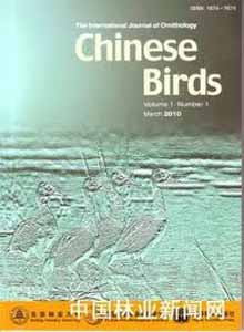 中国鸟类杂志