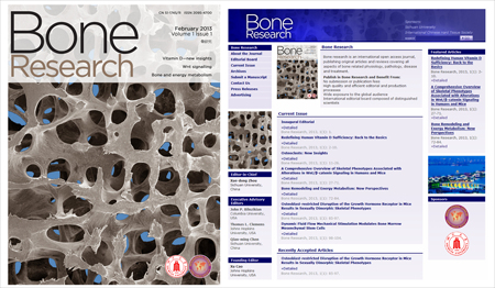 骨研究杂志