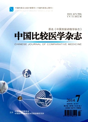 中国比较医学杂志杂志