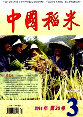 中国稻米编辑部