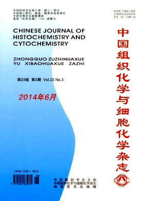中国组织化学与细胞化学杂志杂志