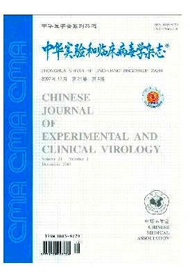 中华实验和临床病毒学杂志杂志