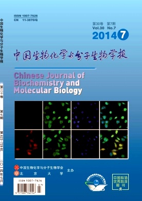 中国生物化学与分子生物学报杂志