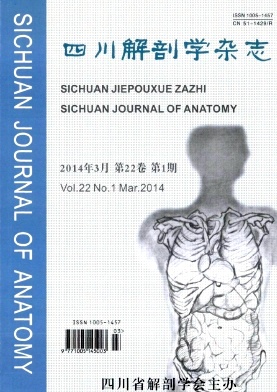 四川解剖学杂志杂志
