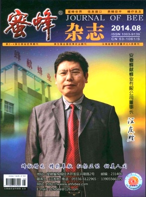 蜜蜂杂志编辑部