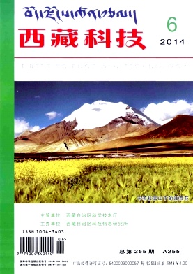 西藏科技编辑部