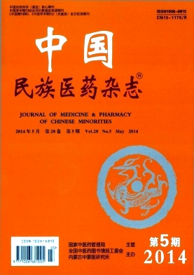中国民族医药杂志杂志