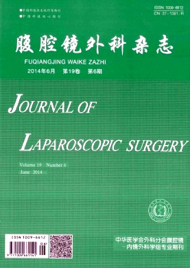 腹腔镜外科杂志杂志