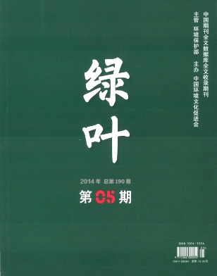 绿叶编辑部