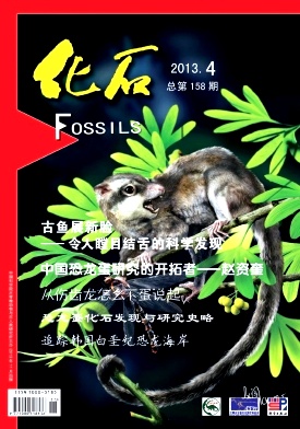 化石杂志