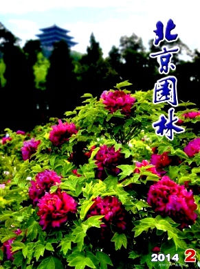 北京园林杂志