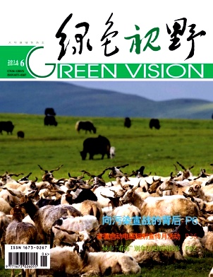 绿色视野杂志