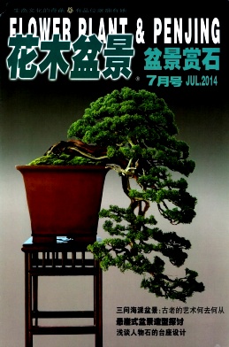 花木盆景杂志