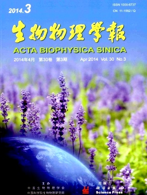 生物物理学报杂志
