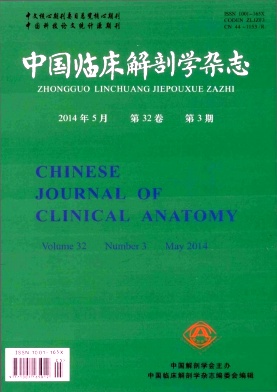 中国临床解剖学杂志杂志