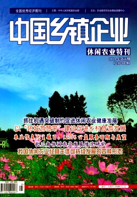 中国乡镇企业杂志