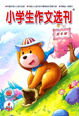 小学生作文选刊杂志